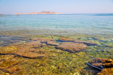 kıyı şeridi kahverengi taş  