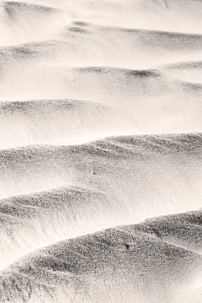 In oman il vecchio deserto e il vuoto quarto texture astratta l — Foto Stock