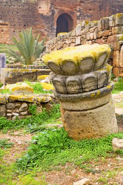 Chellah Fas Afrika eski Roma  