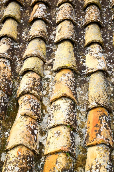 Viejo techo marroquí la ciudad —  Fotos de Stock