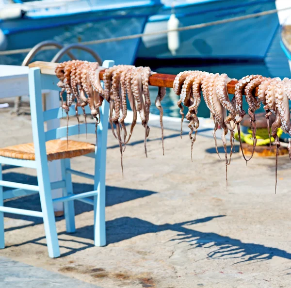 Chobotnice, sušení v Evropě slunce Řecko santorini a světlo — Stock fotografie