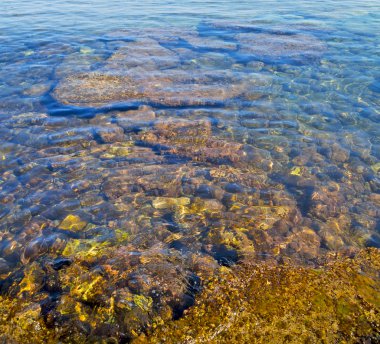 kıyı şeridi gündoğumu ve hafif okyanus beyaz gökyüzü kahverengi taş