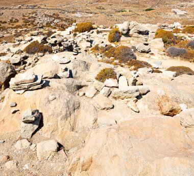 Bush delos Yunanistan historycal Akropolis ve yobaz oturmak