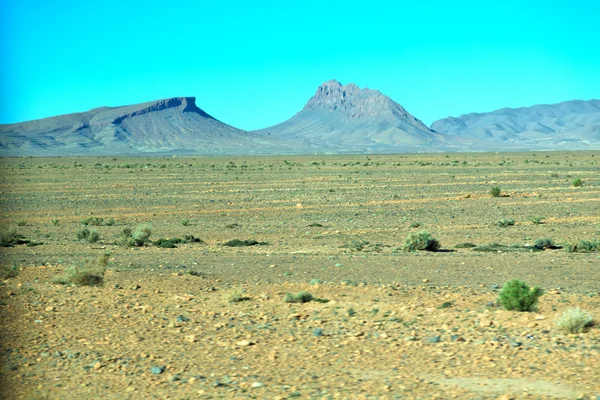 Ο Μπους στην κοιλάδα Μαρόκο Αφρικής το ξηρό βουνό atlas — Φωτογραφία Αρχείου