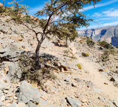 Umman eski dağ gorge ve kanyon derin bulutlu gökyüzü 