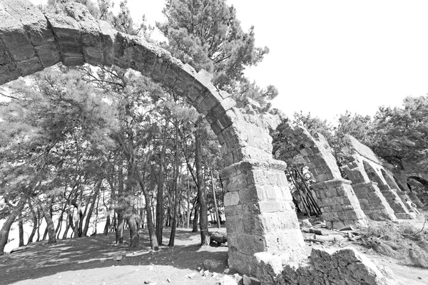 Phaselis sea  bush gate  in  myra  the      old column  stone  c — Stock Photo, Image