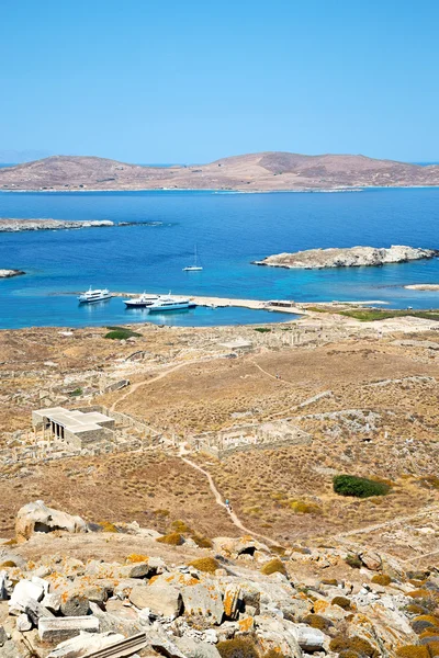 Bush in delos historycal en oude ruïne site — Stockfoto