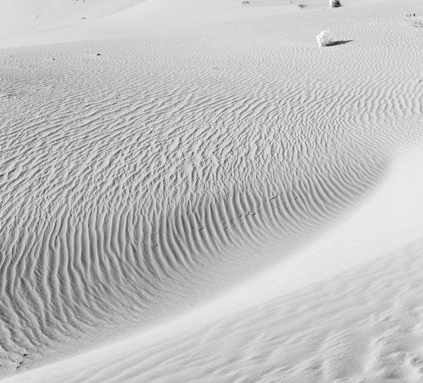 In oman vecchio deserto strofinare al khali il quartiere vuoto e s all'aperto — Foto Stock