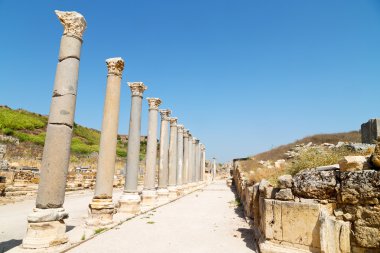  Perge eski yapılar sütun Roma Tapınağı 