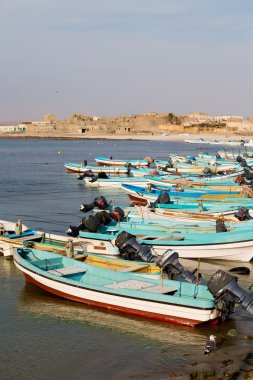 kıyı şeridi ve martı Okyanusu yakınlarındaki Umman tekne