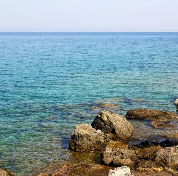 bkz: Türkiye'nin Avrupa ölü çam bitki ve ağaç Akdeniz 