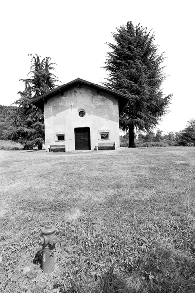 Europa histórica viejo árbol de hierba cristiana — Foto de Stock