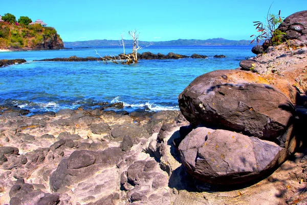 Andilana plage algues océan Indien — Photo