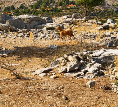  kalıntıları Asya Türkiye selge eski mimaride Tepesi'nden bir