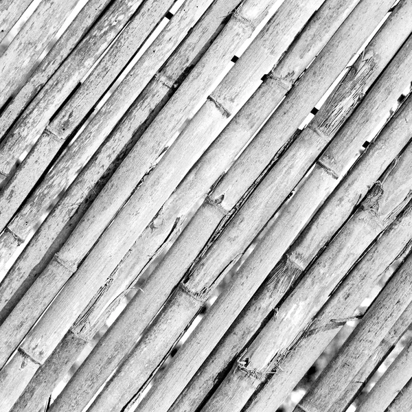 Textuur bamboe hout en planten in de abstracte achtergrond — Stockfoto