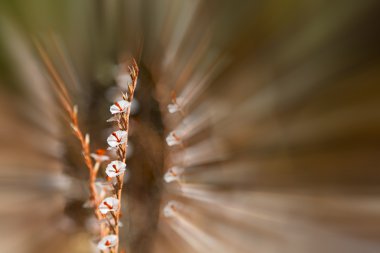 soyut renkler ve bulanık arkaplan dokusu