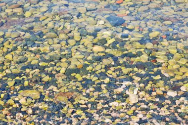 soyut renkler ve bulanık arkaplan dokusu