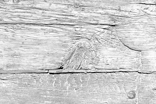In italy  europe  home texture of a  wooden  door and nail — Stock Photo, Image