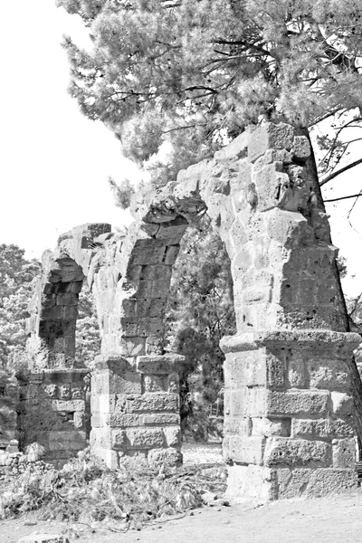 phaselis sea  bush gate  in  myra  the      old column  stone  c