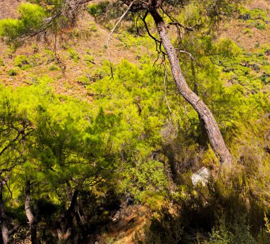 soyut renkler ve bulanık arka grup