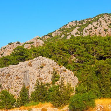 soyut renkler ve bulanık arka grup