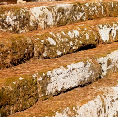Çam iğneleri kalıntıları taş ve antalya arykanda tu tiyatroda