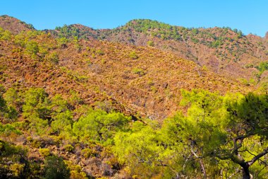 soyut renkler ve bulanık arka grup