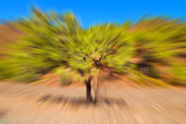 抽象的な色とぼやけた背景は — ストック写真