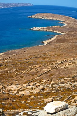 Bush delos Yunanistan historycal Akropolis ve yobaz oturmak