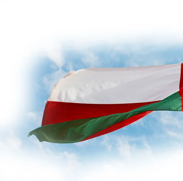 In oman waving flag and the cloudy sky — Stock Photo, Image