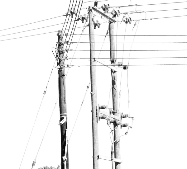 In oman the electric cable wood pylon energy and current line — Stock Photo, Image