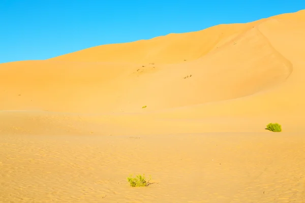 In oman vecchio deserto strofinare al khali il quartiere vuoto e all'aperto — Foto Stock