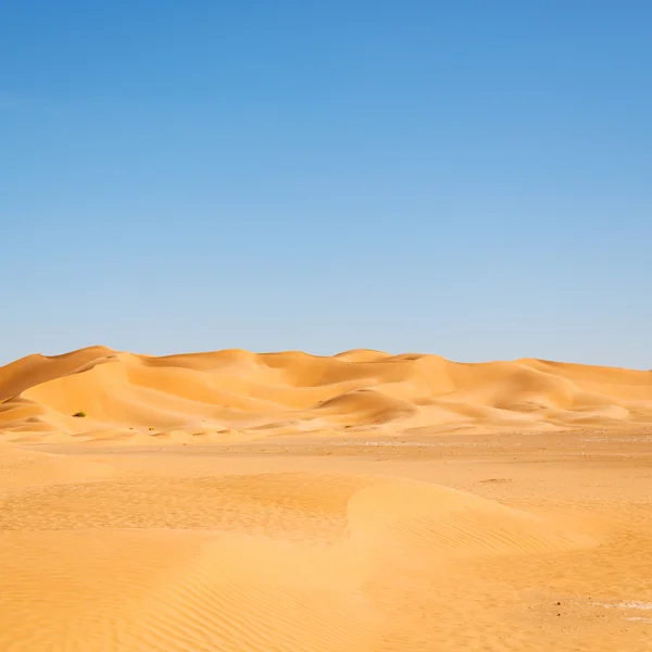 Em oman velho deserto esfregar al khali o quarto vazio e ao ar livre — Fotografia de Stock