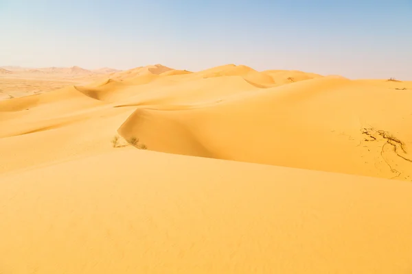 Em oman velho deserto esfregar al khali o quarto vazio e ao ar livre — Fotografia de Stock