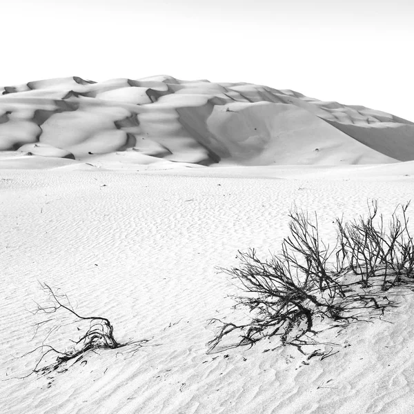 Em oman velho deserto esfregar al khali o quarto vazio e ao ar livre — Fotografia de Stock