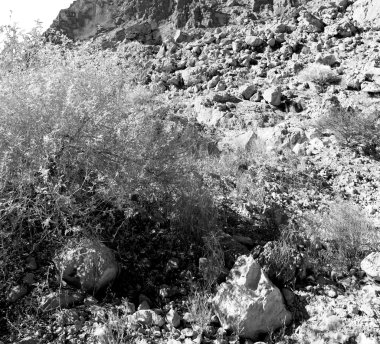 Umman eski dağ gorge ve kanyon derin bulutlu gökyüzü 