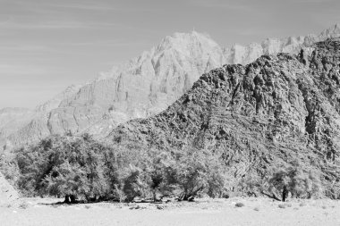 Umman eski dağ gorge ve kanyon derin bulutlu gökyüzü 