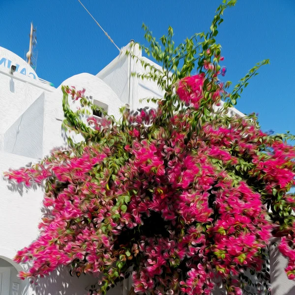 Flowers  in architecture    europe cyclades santorini old town — Stock Photo, Image