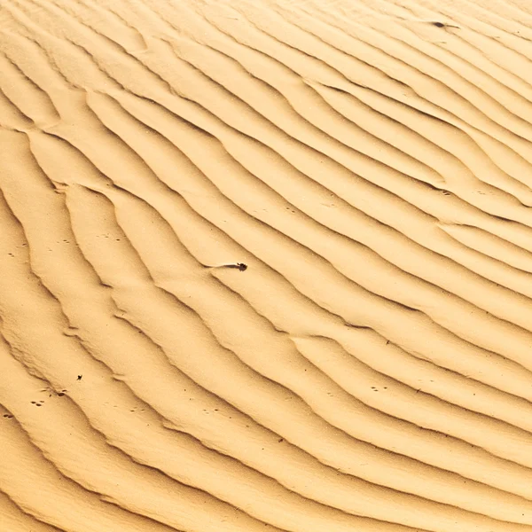 In oman abstract de oude woestijn en de lege wijk texture li — Stockfoto