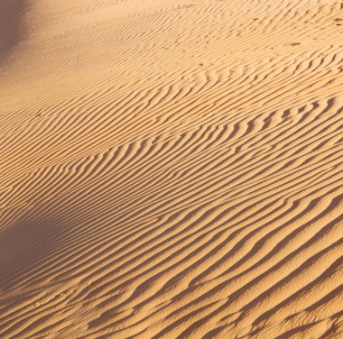 Umman eski çöl ve boş çeyrek soyut doku l