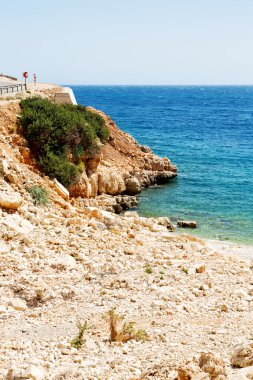 thurkey Likya yolu doğadaki Asya