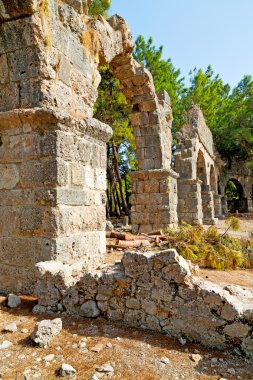 Phaselis deniz bush sütun Roma Tapınağı 