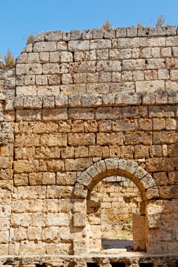  Yunan ve Roma Tapınağı bush 