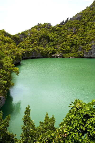 Litoral de uma baía de lagoa verde — Fotografia de Stock