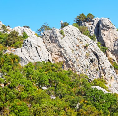 soyut renkler ve bulanık arka grup