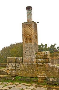 Chellah Fas Roma kötüleşti ve site