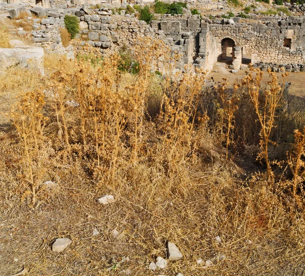 Αφηρημένα χρώματα και θολή backgroun — Φωτογραφία Αρχείου