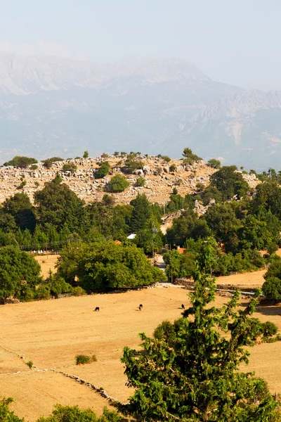 土耳其山上的废墟与大自然 — 图库照片