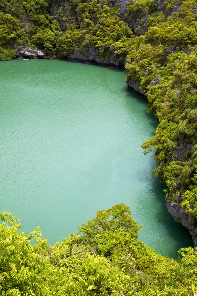 녹색 연못 중국 바다 태국 kho의 해안선 — 스톡 사진