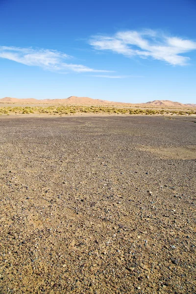 Arbusto viejo en el desierto de y roca cielo de piedra — Foto de Stock